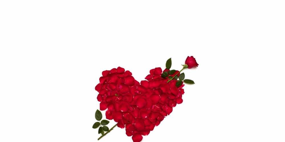 Открытка на каждый день с именем, Олег С днем всех влюбленных роза как стрела амура попала в сердце из роз Прикольная открытка с пожеланием онлайн скачать бесплатно 