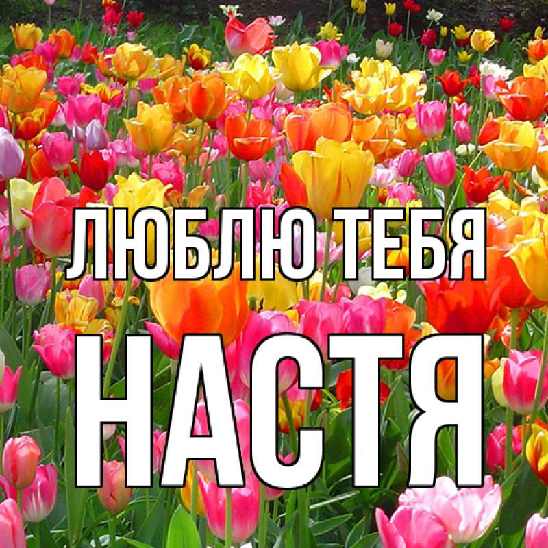 Картинка Люблю тебя, Настя