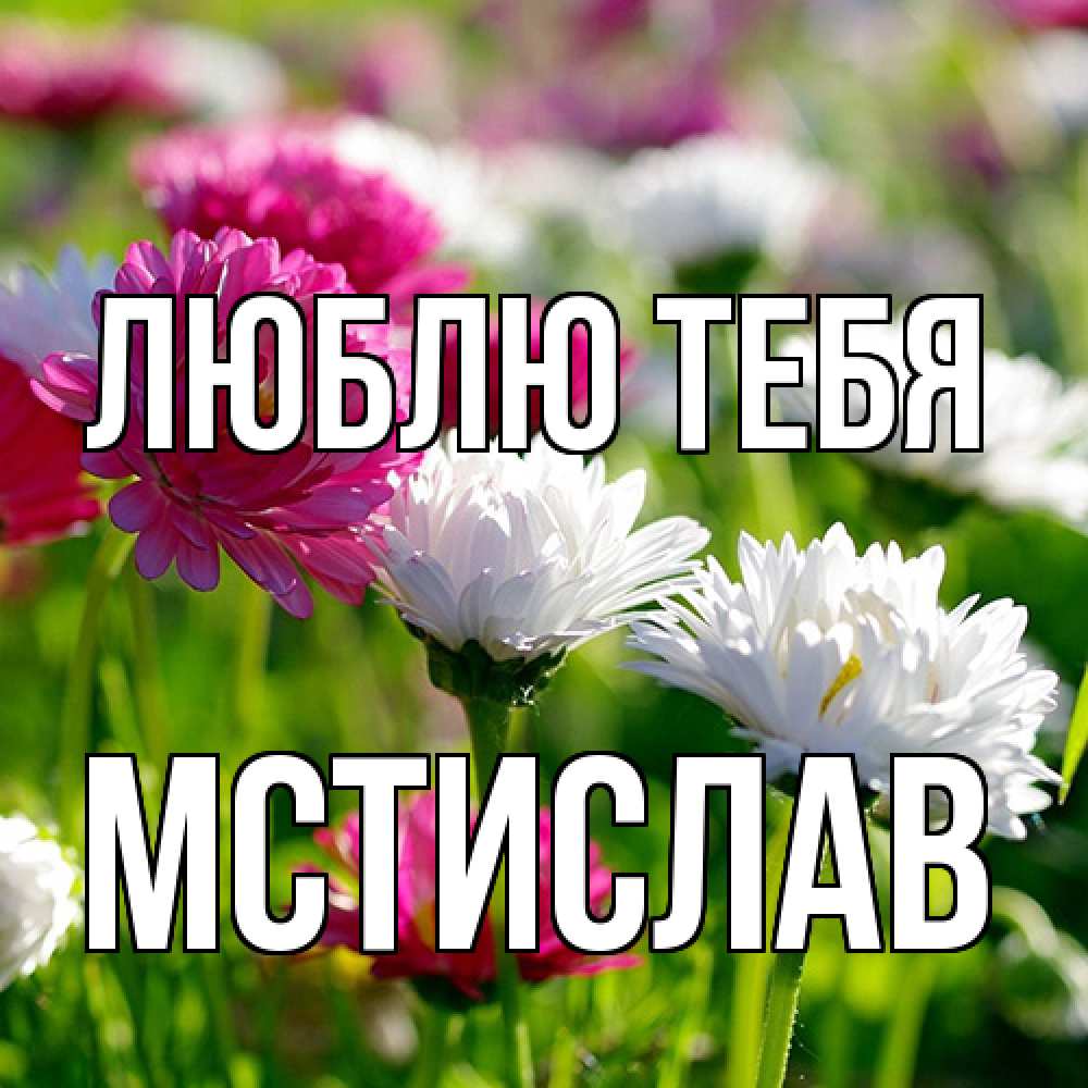 Открытка на каждый день с именем, Мстислав Люблю тебя международный женский день 1 Прикольная открытка с пожеланием онлайн скачать бесплатно 