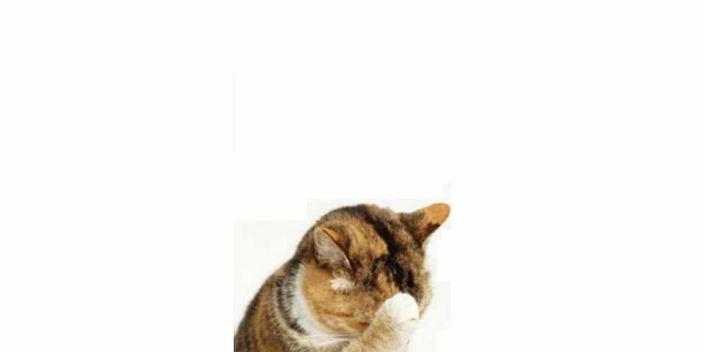 Открытка на каждый день с именем, Родион Не обижайся кот Прикольная открытка с пожеланием онлайн скачать бесплатно 