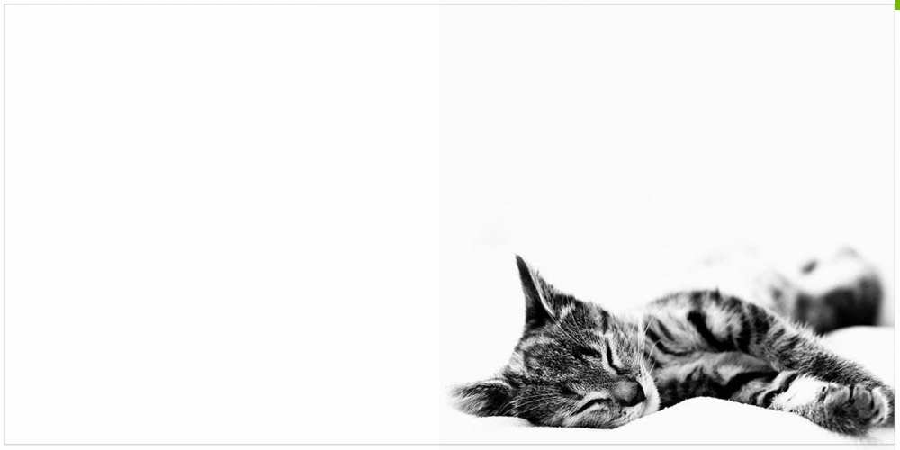 Открытка на каждый день с именем, Иоланта С хорошим утром котуся Прикольная открытка с пожеланием онлайн скачать бесплатно 