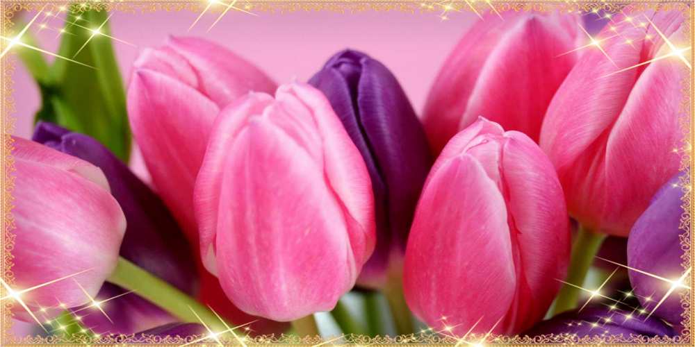 Открытка на каждый день с именем, Елизар Люблю тебя тюльпаны для женщины на международный женский день Прикольная открытка с пожеланием онлайн скачать бесплатно 