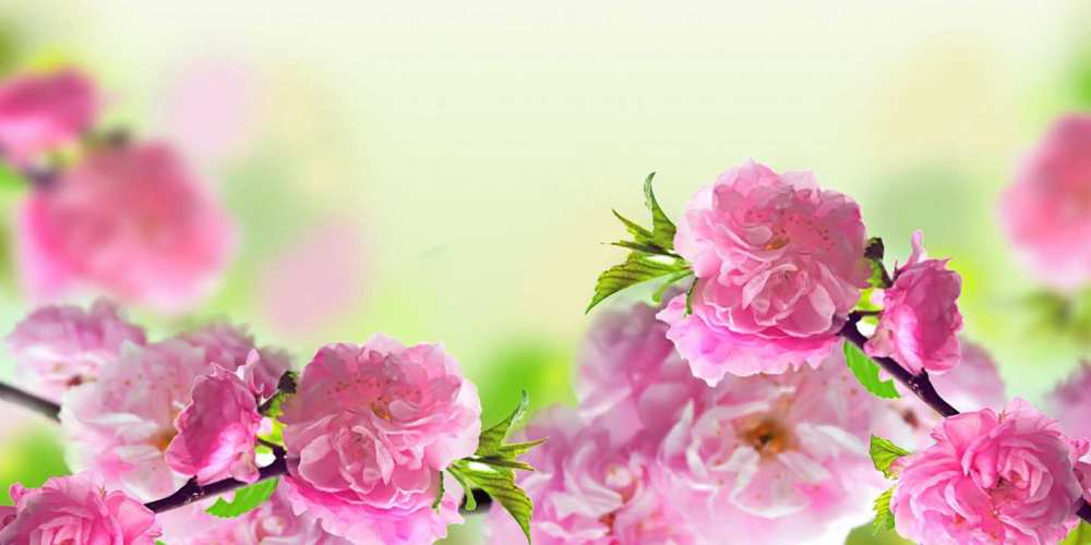 Открытка на каждый день с именем, Муслим C юбилеем веточки с цветками Прикольная открытка с пожеланием онлайн скачать бесплатно 