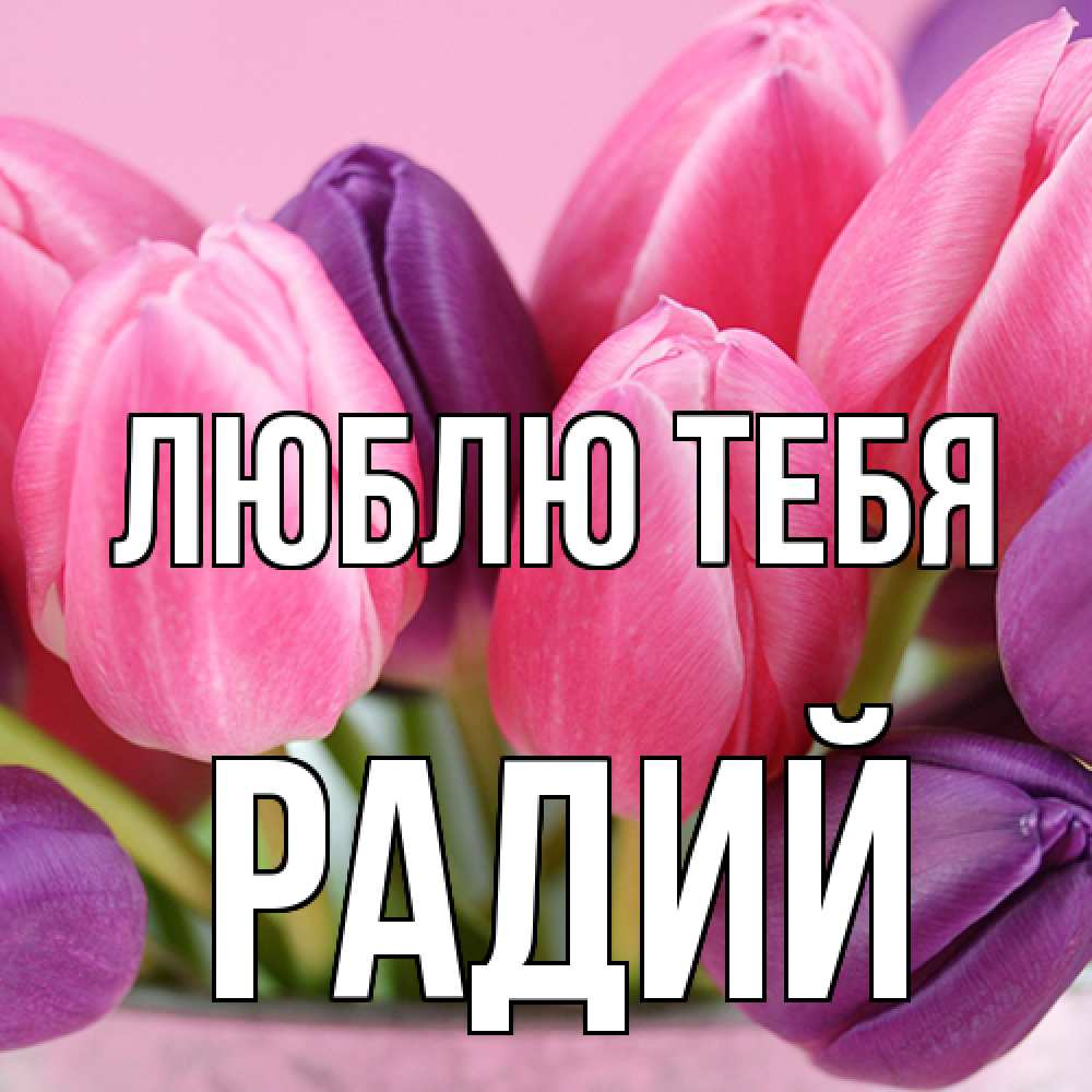 Открытка на каждый день с именем, Радий Люблю тебя маме 1 Прикольная открытка с пожеланием онлайн скачать бесплатно 