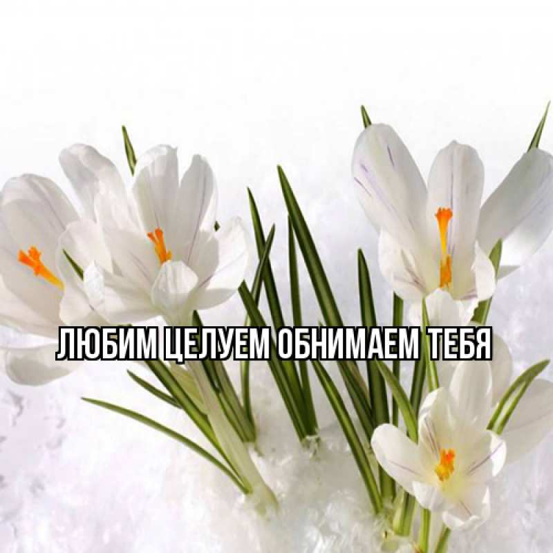 Картинка Люблю тебя, Ненаглядный мой