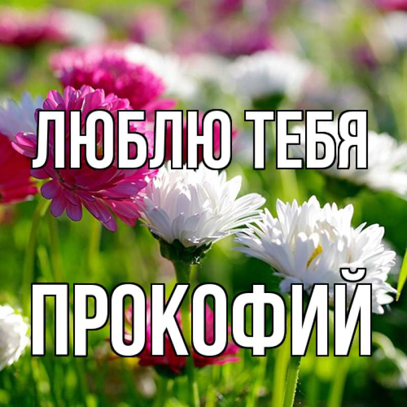 Картинка Люблю тебя, Прокофий