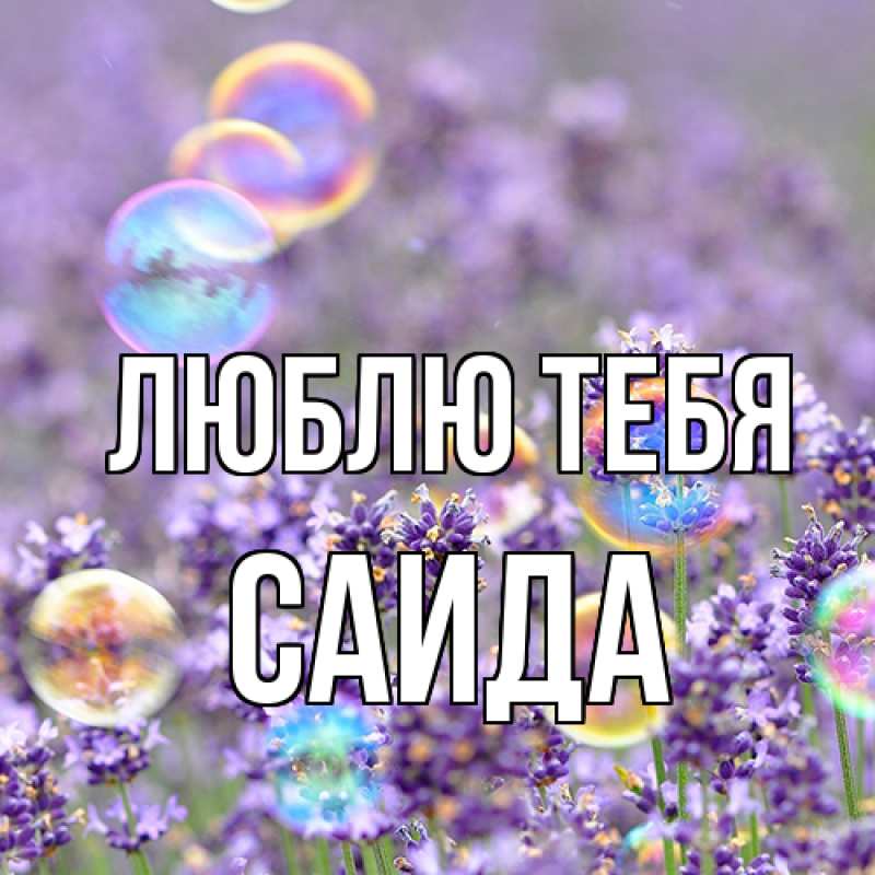 Картинка Люблю тебя, Саида