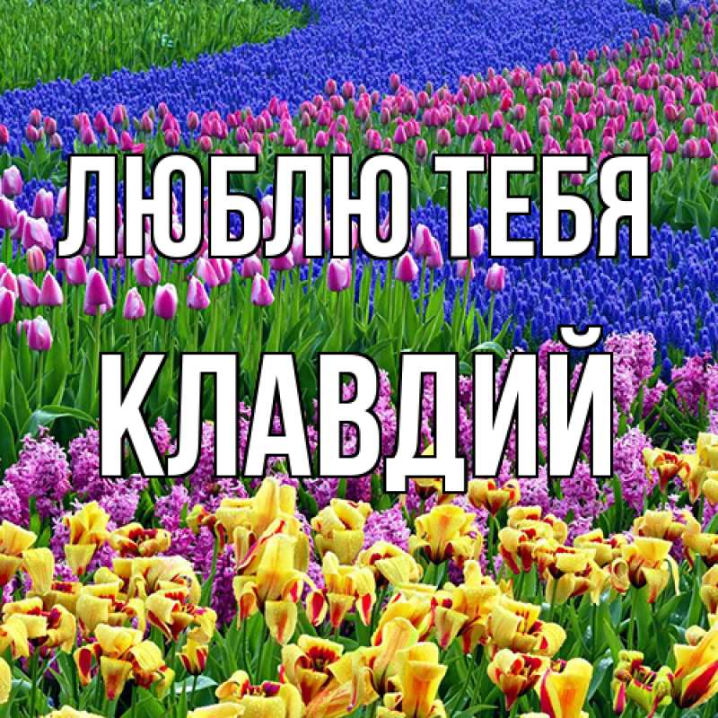 Картинка Люблю тебя, Клавдий