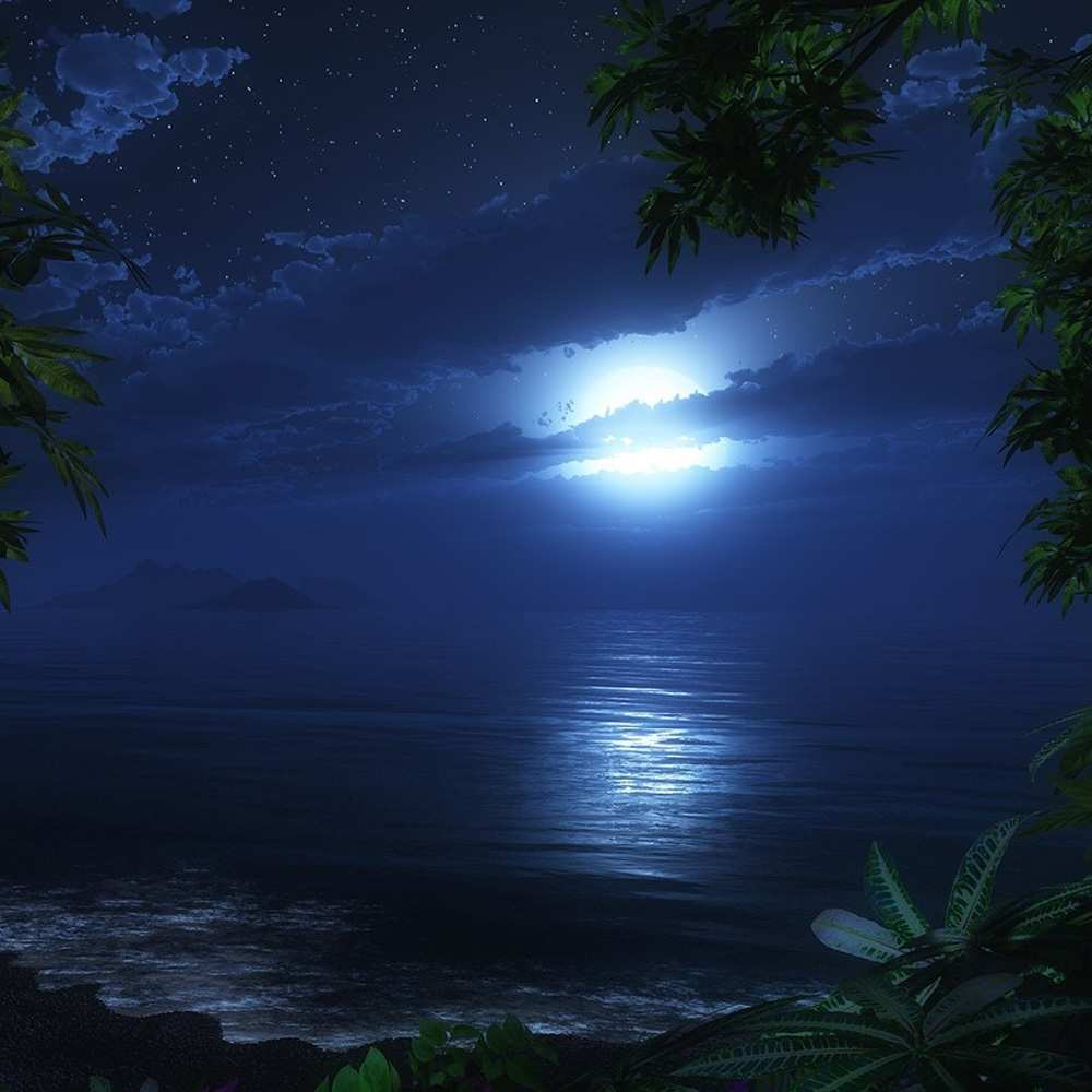 Открытка на каждый день с именем, Иоланта Доброй ночи тропический остров Прикольная открытка с пожеланием онлайн скачать бесплатно 