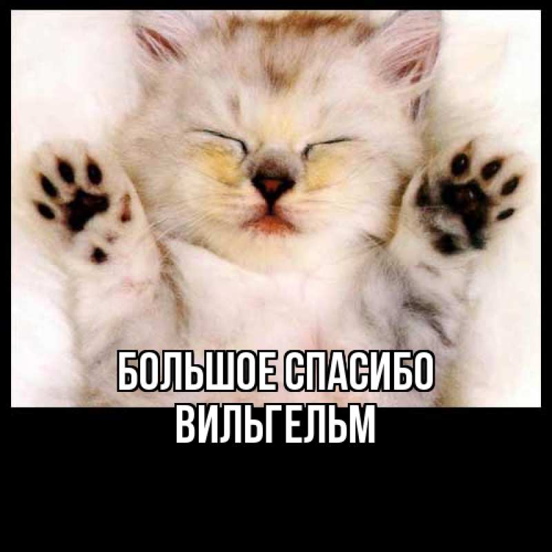 Картинка Большое спасибо, Вильгельм