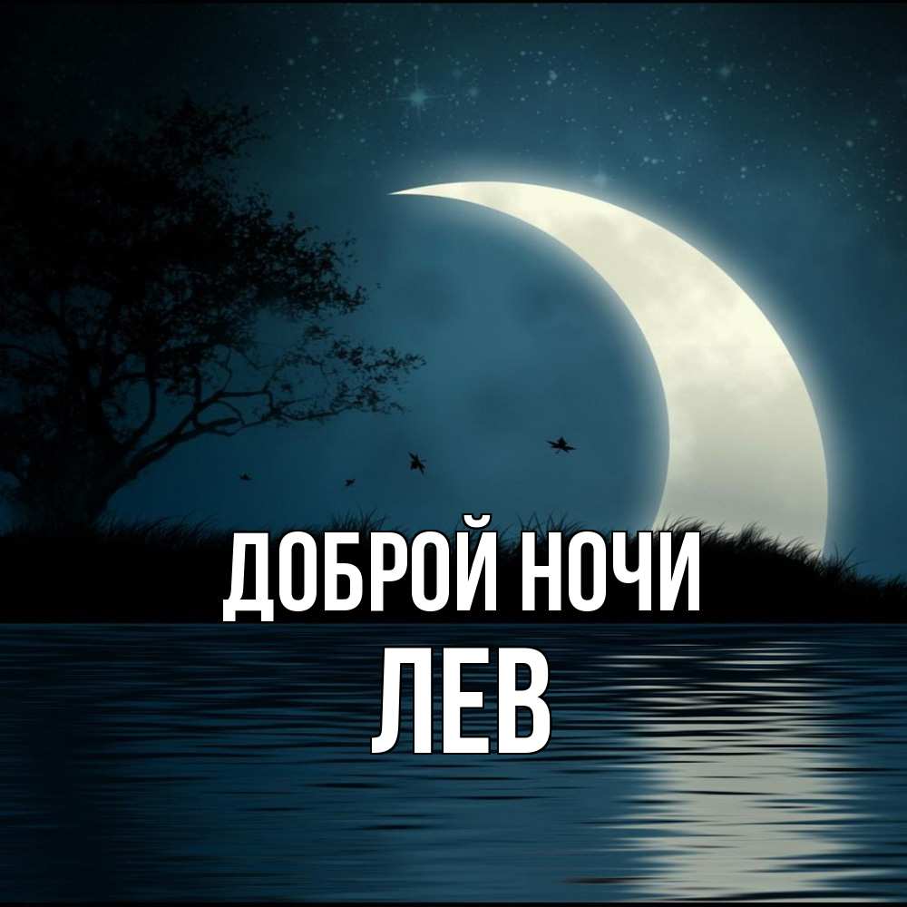 Открытка на каждый день с именем, Лев Доброй ночи вода Прикольная открытка с пожеланием онлайн скачать бесплатно 