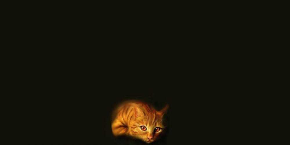 Открытка на каждый день с именем, Жан Доброй ночи кот Прикольная открытка с пожеланием онлайн скачать бесплатно 