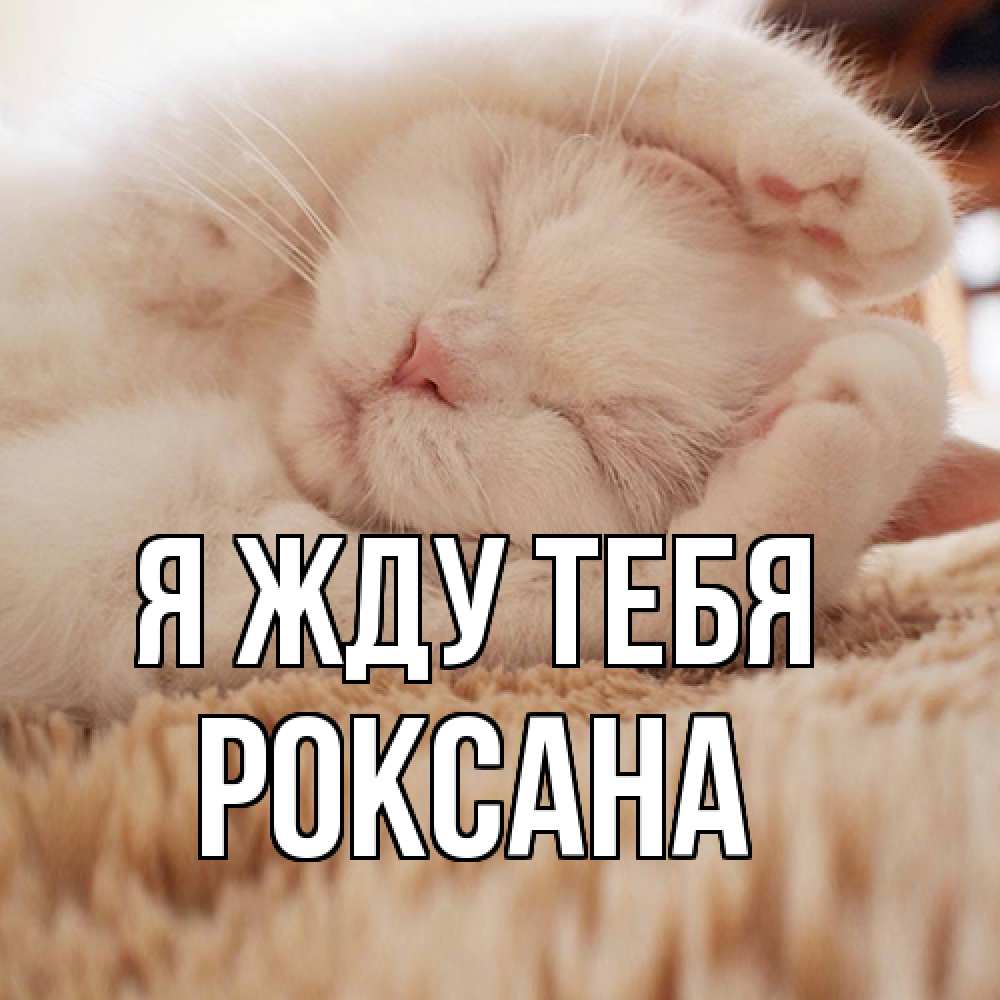 Открытка на каждый день с именем, Роксана Я жду тебя для любимой девушки милота Прикольная открытка с пожеланием онлайн скачать бесплатно 