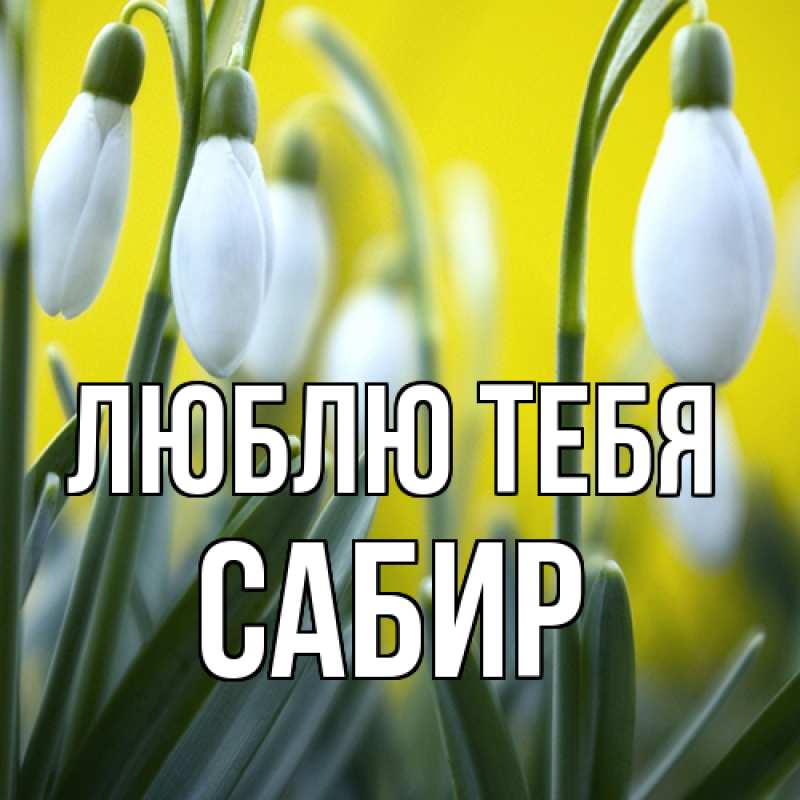 Открытка с именем, Сабир, Люблю тебя