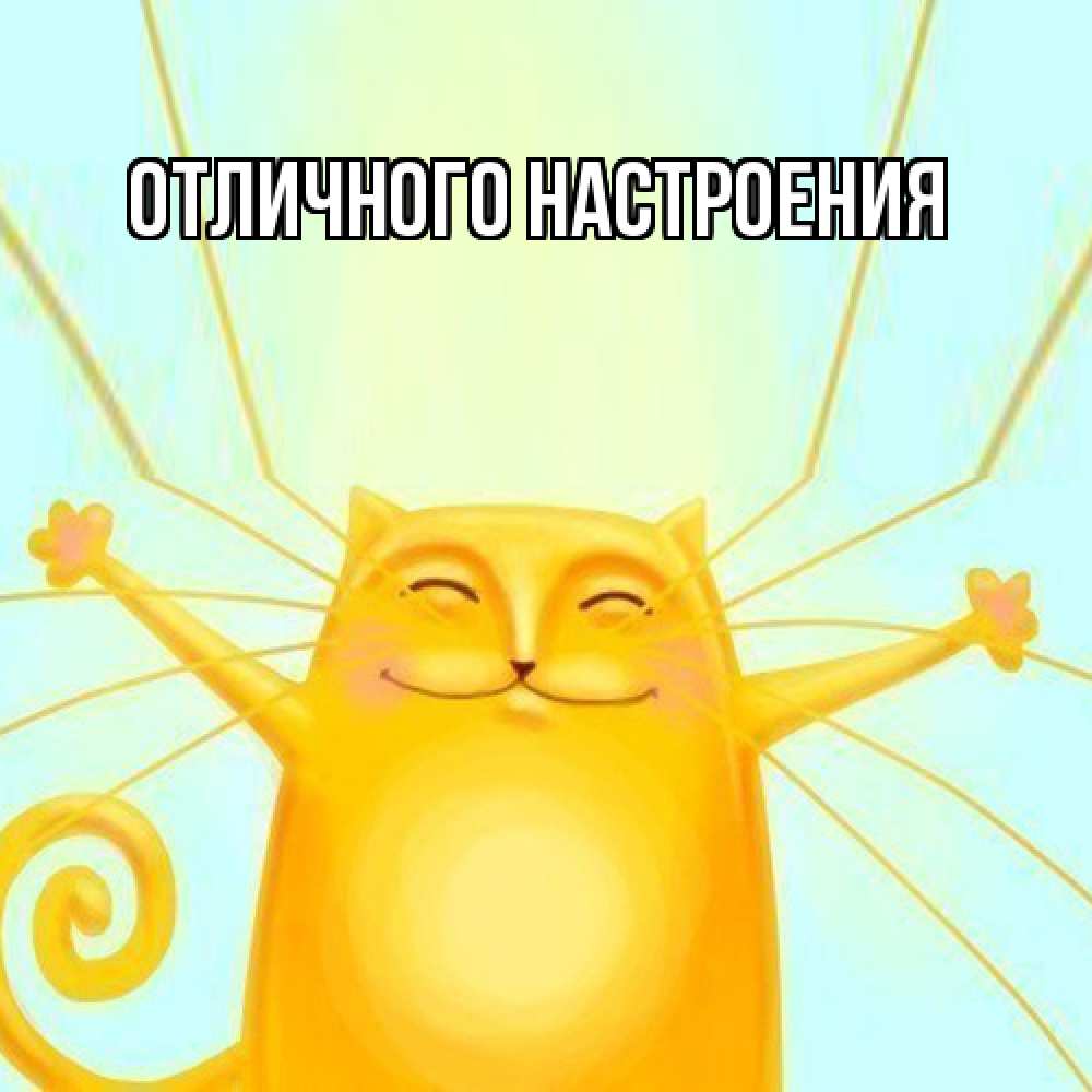 Открытка на каждый день с именем, Констанция Обнимашки солнечный обнимашечный кот Прикольная открытка с пожеланием онлайн скачать бесплатно 