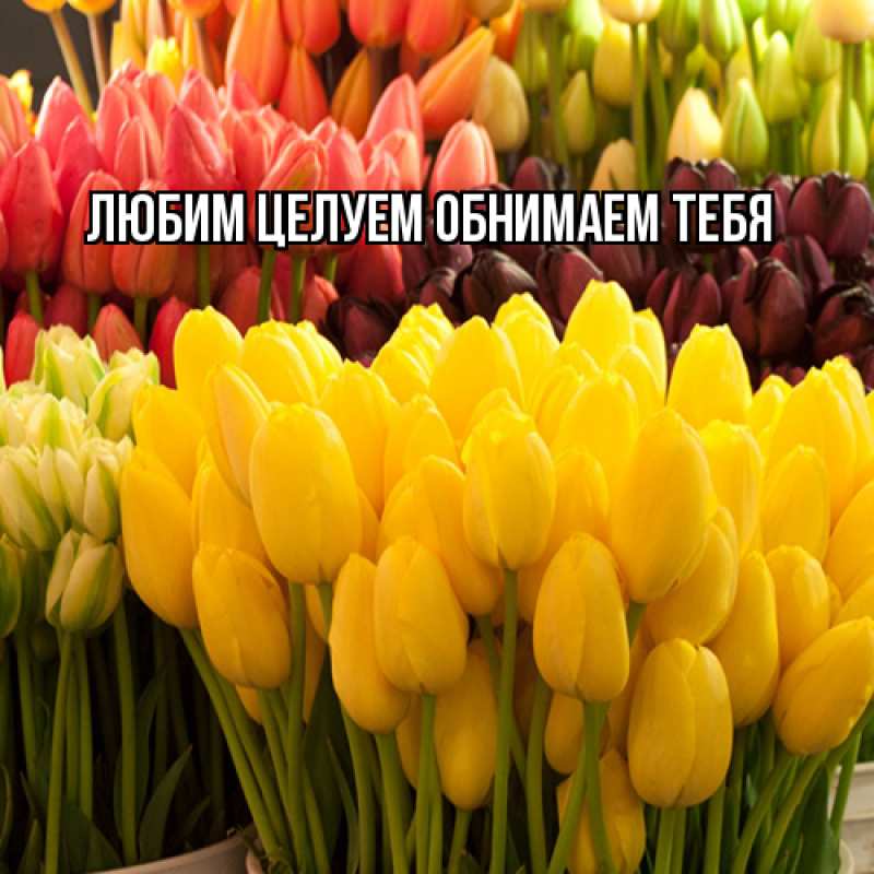 Картинка Люблю тебя, Ненаглядный мой