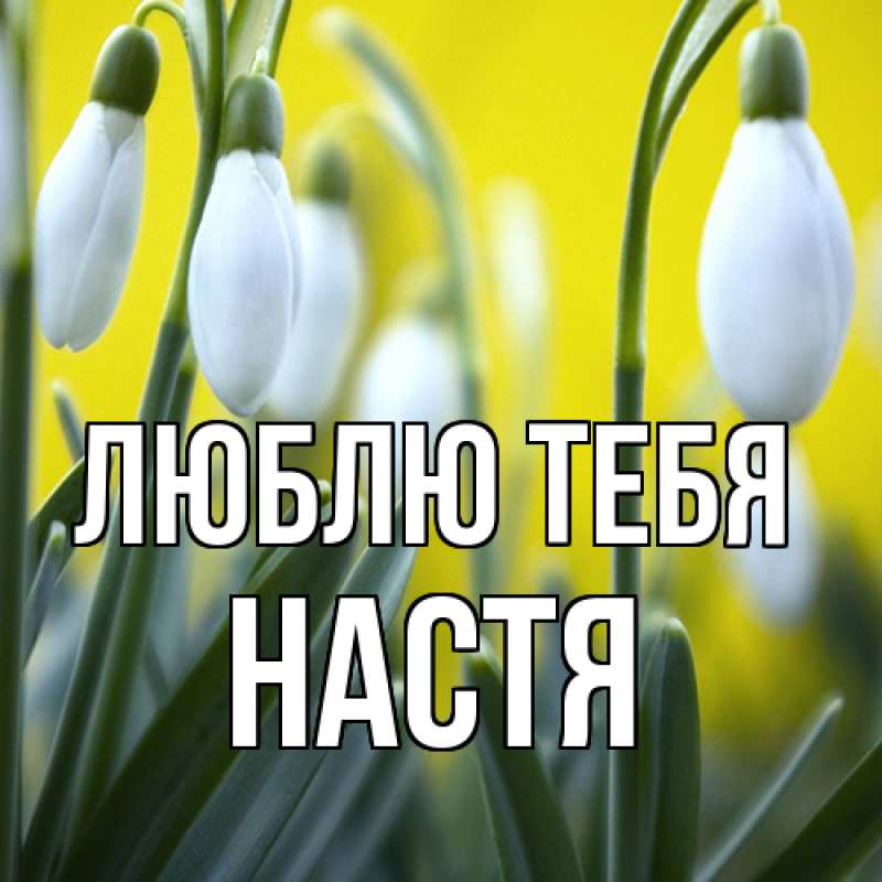 Картинка Люблю тебя, Настя