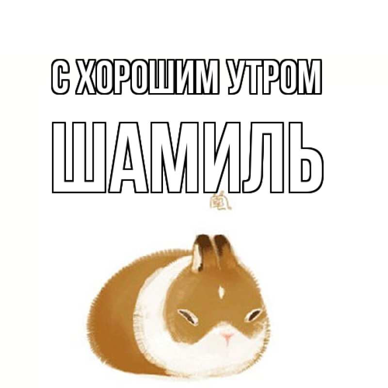 Картинка С хорошим утром, Шамиль