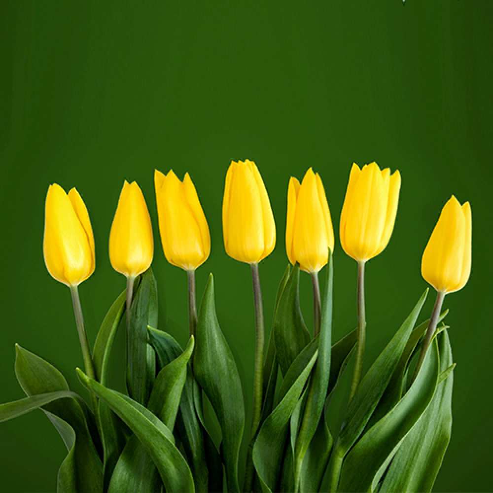 Открытка на каждый день с именем, Селена Люблю тебя желтого цвета 3 Прикольная открытка с пожеланием онлайн скачать бесплатно 