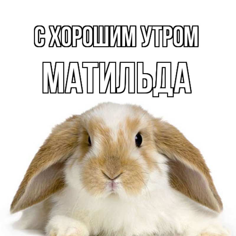 Картинка С хорошим утром, Матильда
