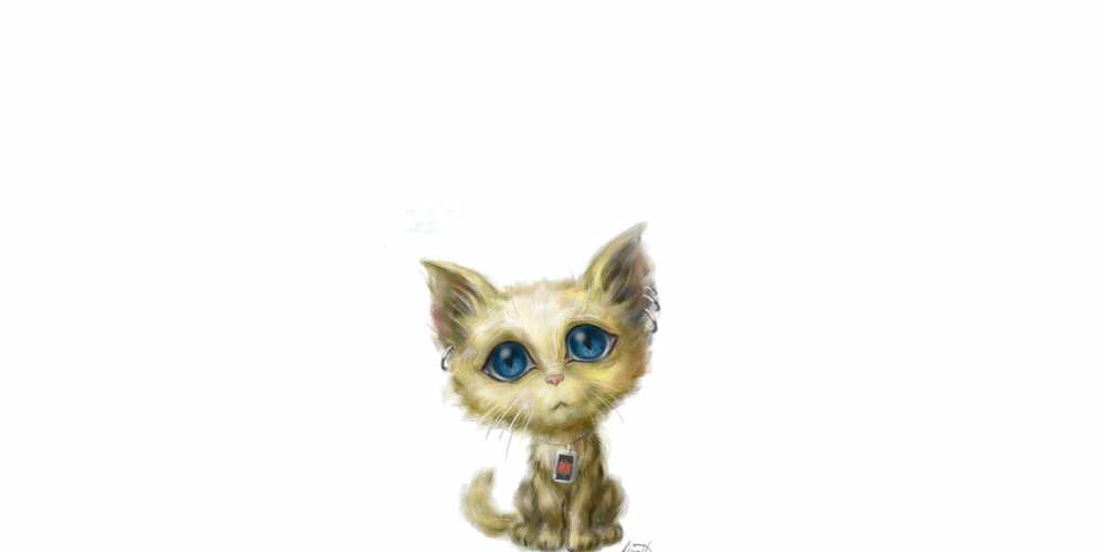 Открытка на каждый день с именем, Ярина Не обижайся прости меня открытка с котиком Прикольная открытка с пожеланием онлайн скачать бесплатно 