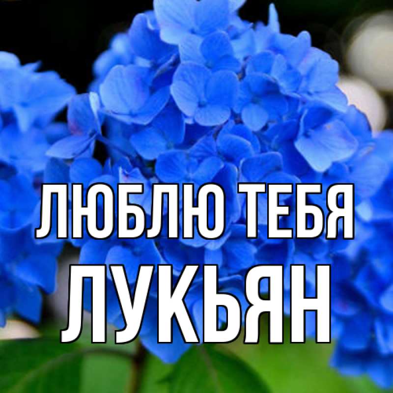 Открытка с именем, Лукьян, Люблю тебя