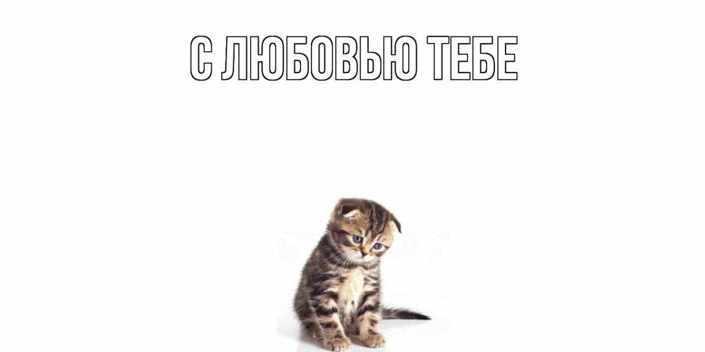 Открытка на каждый день с именем, Леоня Скучашки кот Прикольная открытка с пожеланием онлайн скачать бесплатно 