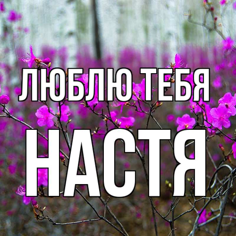 Картинка Люблю тебя, Настя