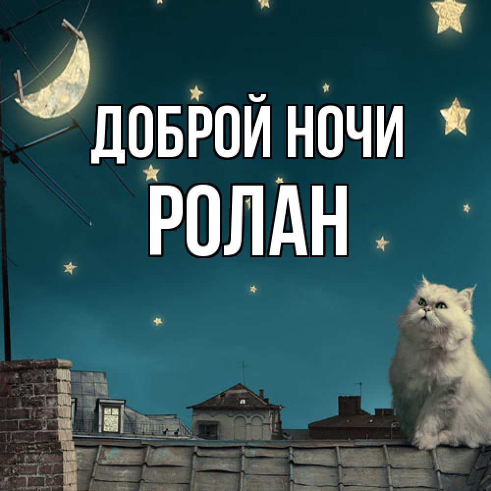 Открытка на каждый день с именем, Ролан Доброй ночи белый кот сидит на крыше Прикольная открытка с пожеланием онлайн скачать бесплатно 