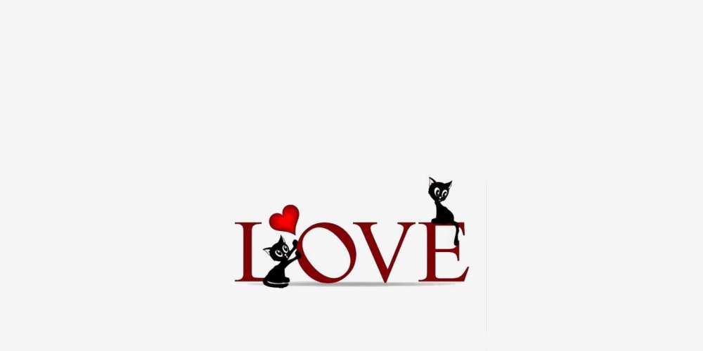 Открытка на каждый день с именем, Илья С любовью тебе любовь, коты Прикольная открытка с пожеланием онлайн скачать бесплатно 