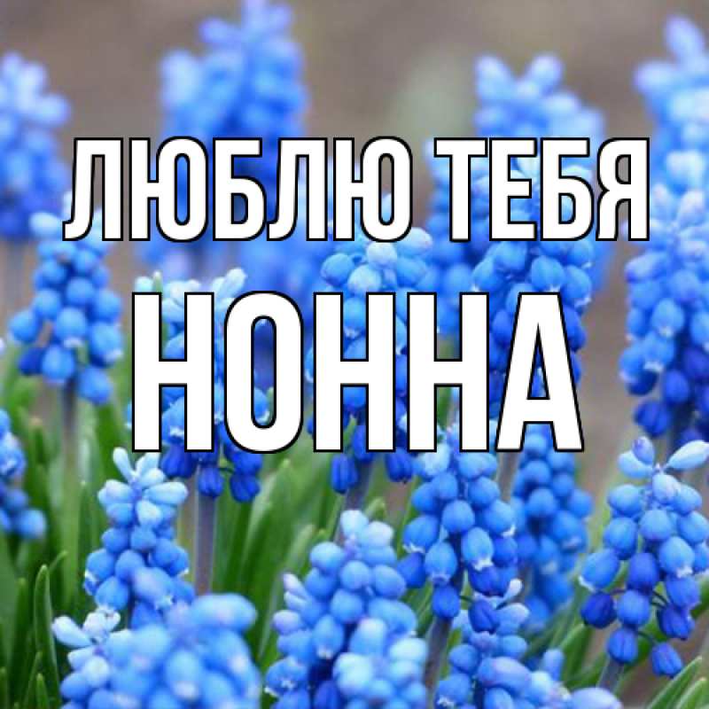 Картинка Люблю тебя, Нонна