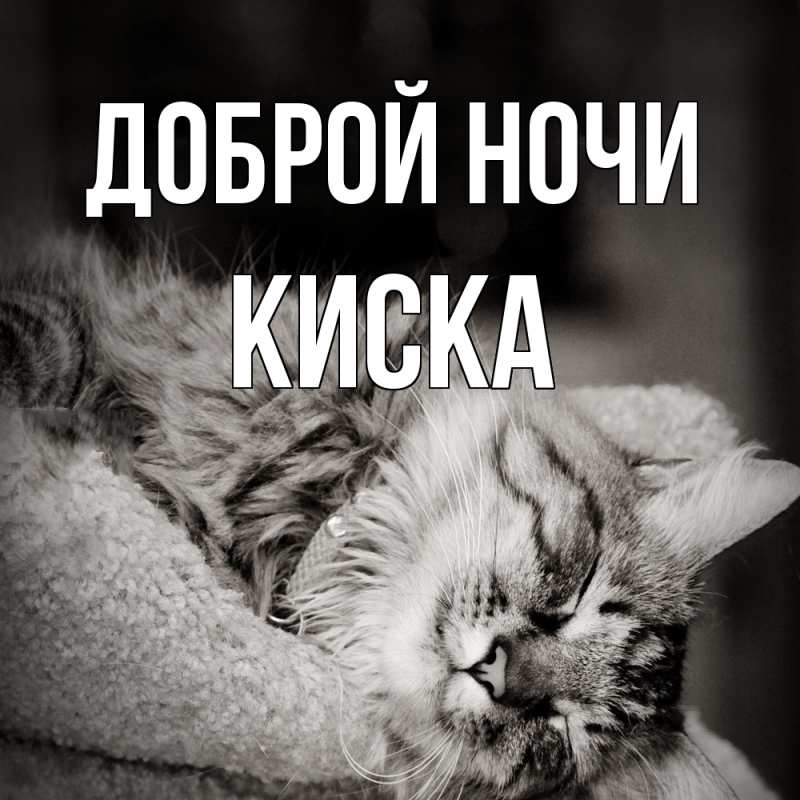 Картинка Доброй ночи, Киска