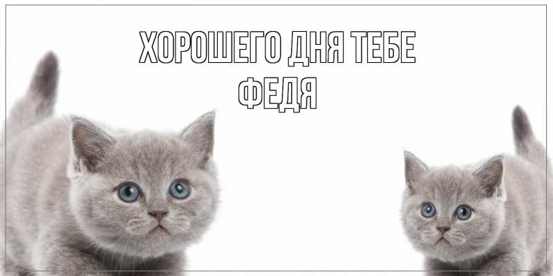 Открытка с именем, Федя, Хорошего дня тебе