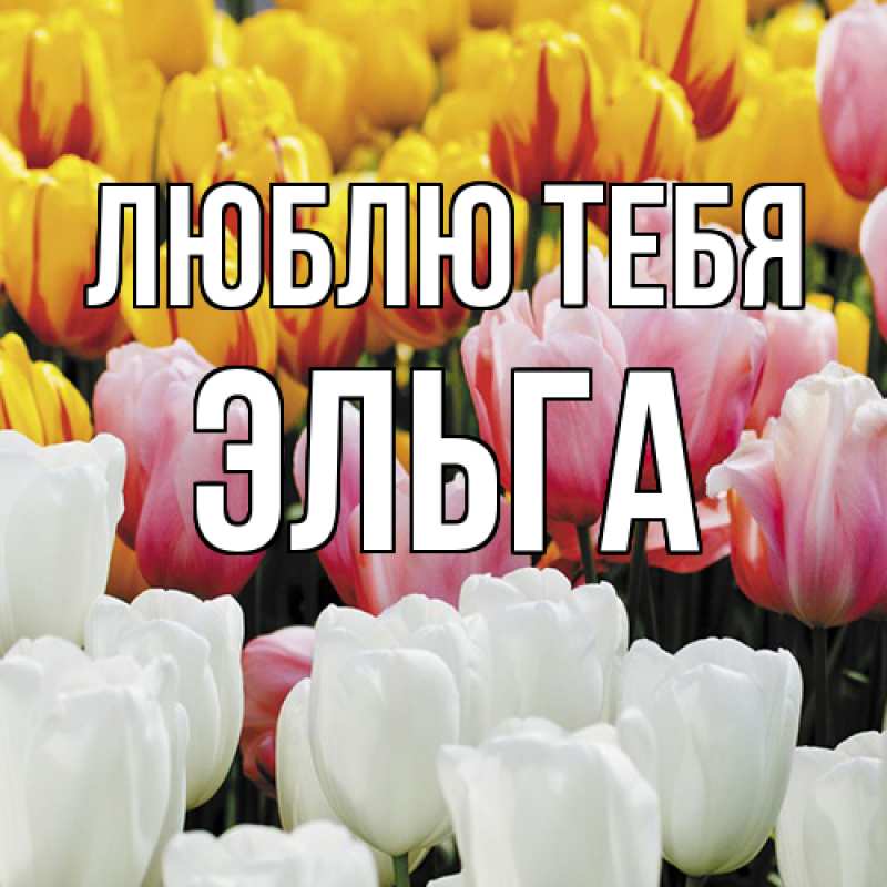 Картинка Люблю тебя, Эльга