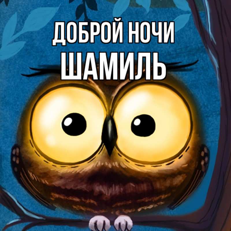 Картинка Доброй ночи, Шамиль