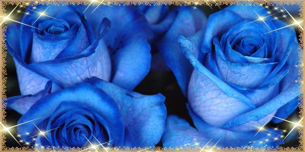 Открытка на каждый день с именем, Тимур Люблю тебя красивые розы для милых дам на международный женский день Прикольная открытка с пожеланием онлайн скачать бесплатно 