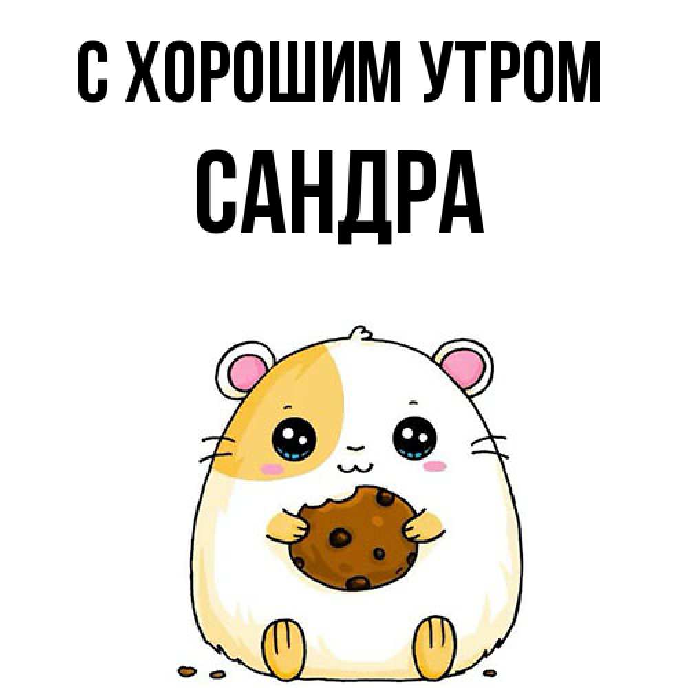 Открытка на каждый день с именем, Сандра С хорошим утром есть печеньку. Утречко Прикольная открытка с пожеланием онлайн скачать бесплатно 