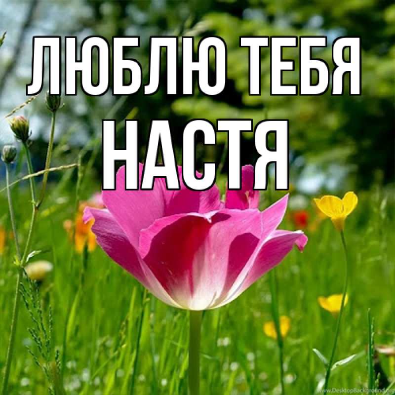 Картинка Люблю тебя, Настя