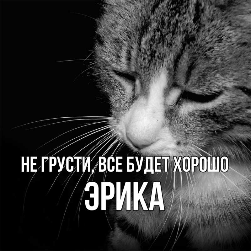 Открытка с именем, Эрика, Не грусти, все будет хорошо