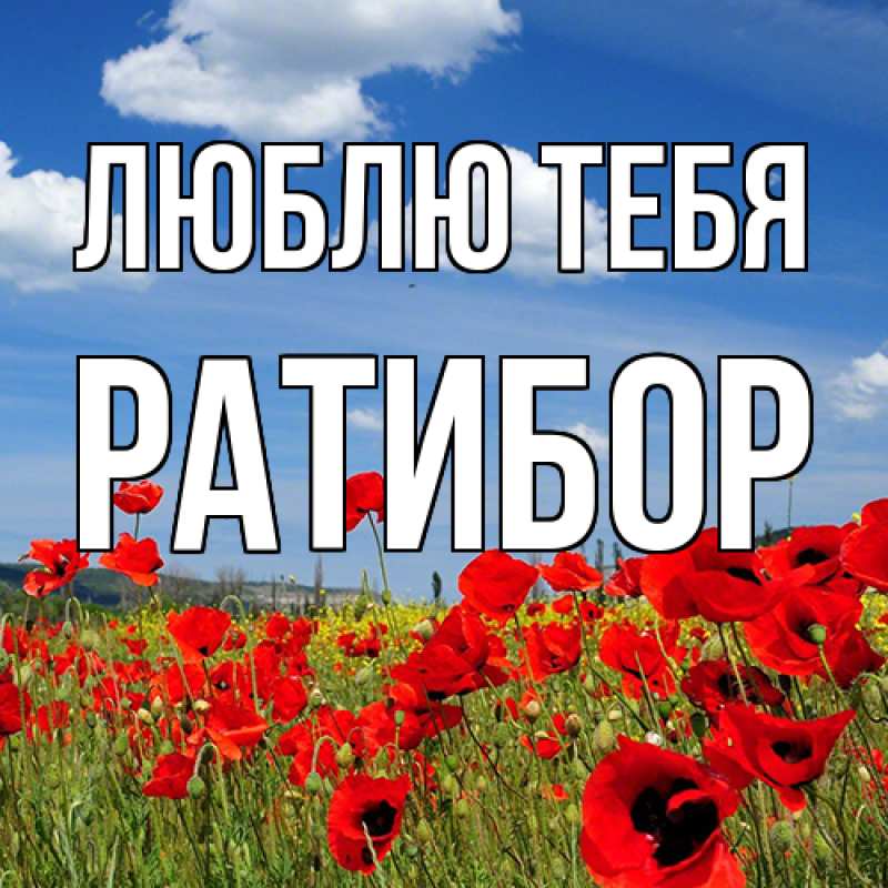 Картинка Люблю тебя, Ратибор