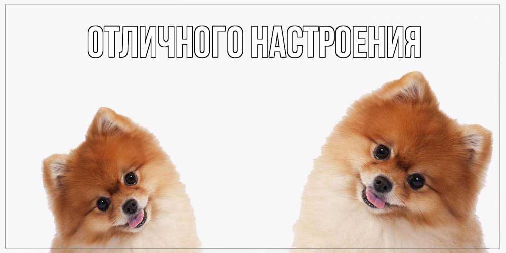 Открытка на каждый день с именем, Ненаглядный Как дела привет Прикольная открытка с пожеланием онлайн скачать бесплатно 