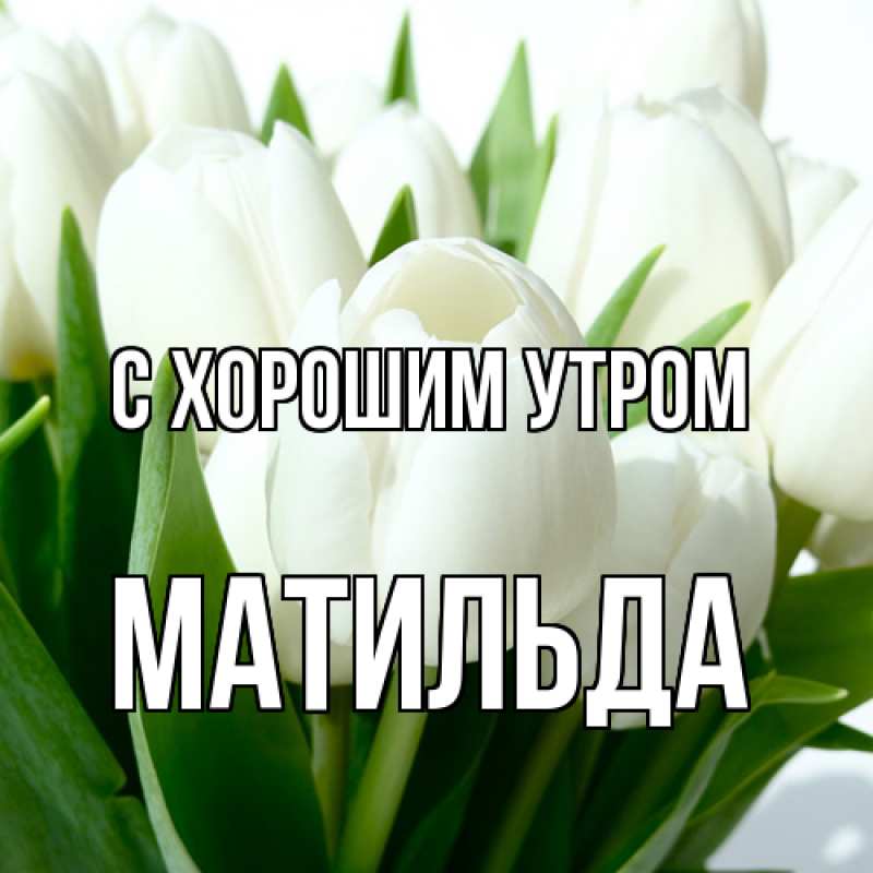 Картинка С хорошим утром, Матильда