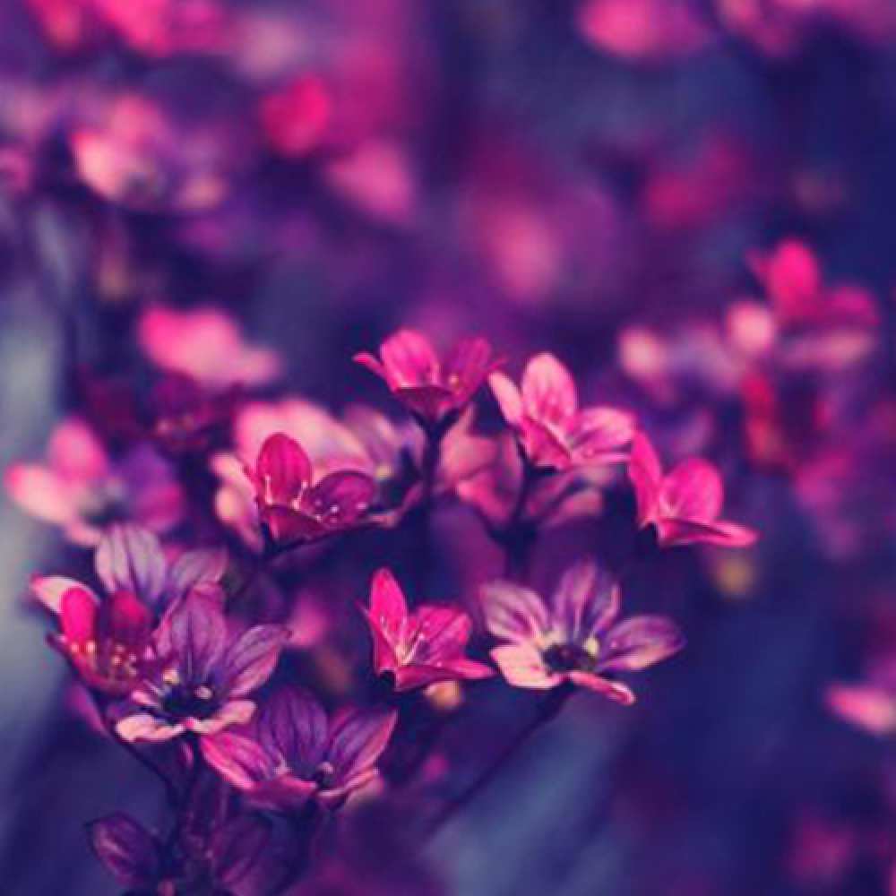 Открытка на каждый день с именем, Абильхан Люблю тебя небольшие цветы 1 Прикольная открытка с пожеланием онлайн скачать бесплатно 