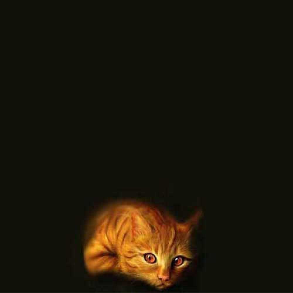 Открытка на каждый день с именем, Трифон Не грусти все будет хорошо лежащий кот в темноте Прикольная открытка с пожеланием онлайн скачать бесплатно 