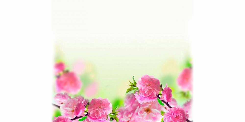 Открытка на каждый день с именем, Илья Доброго утра и радостного дня цветы Прикольная открытка с пожеланием онлайн скачать бесплатно 
