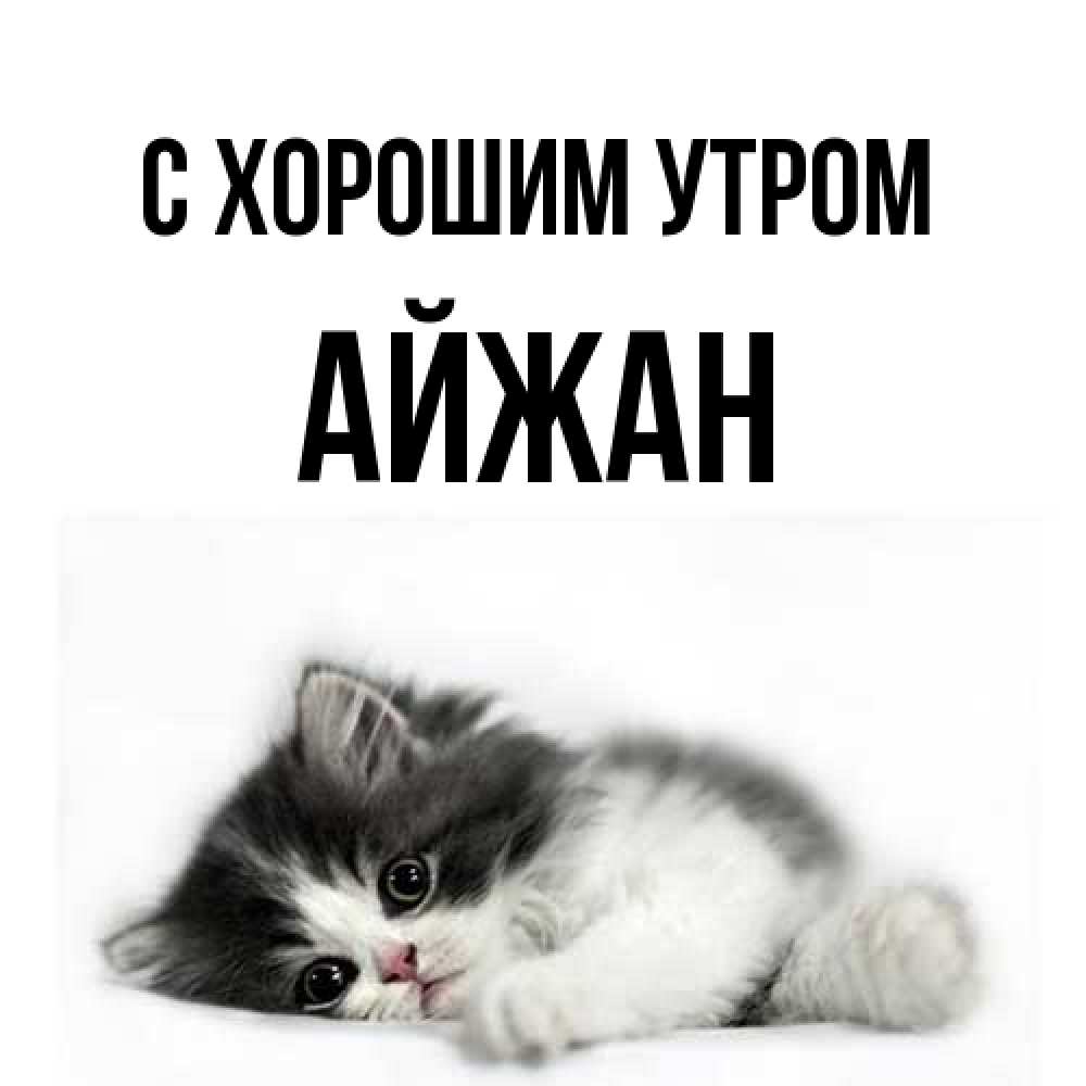 Открытка на каждый день с именем, Айжан С хорошим утром кот лапки Прикольная открытка с пожеланием онлайн скачать бесплатно 