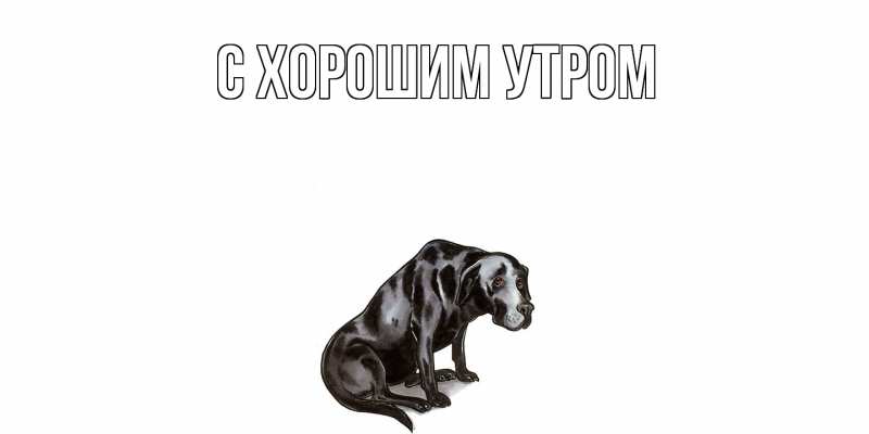 Картинка Скучашки, Дамира