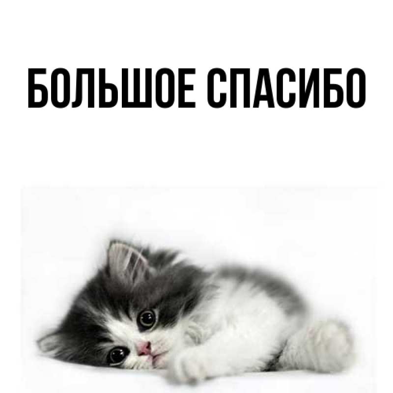 Картинка Большое спасибо, 