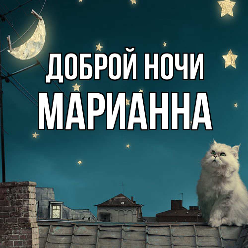 Открытка на каждый день с именем, Марианна Доброй ночи белый кот сидит на крыше Прикольная открытка с пожеланием онлайн скачать бесплатно 