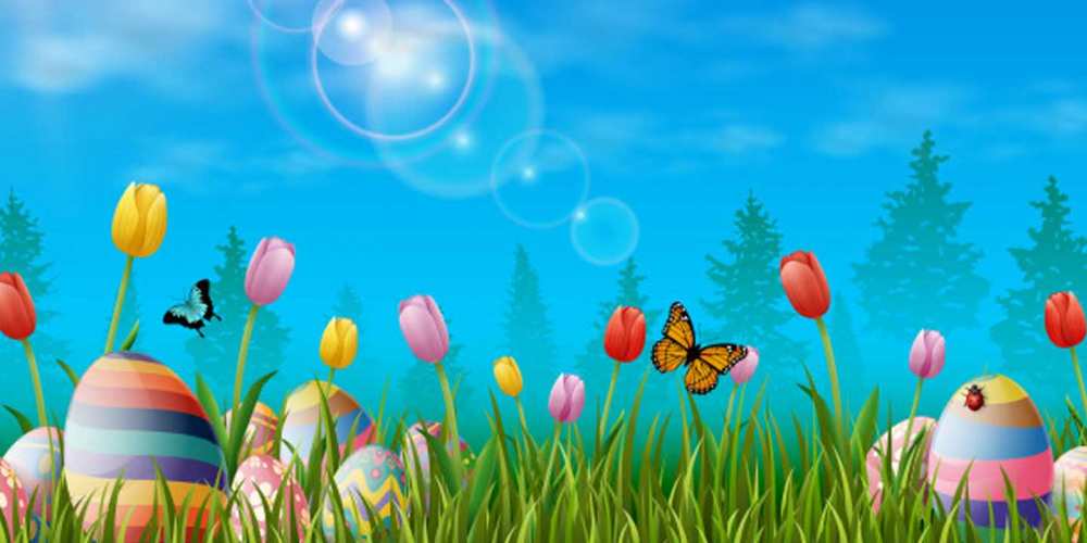 Открытка на каждый день с именем, Гарри Отличного настроения небо и тюльпаны с бабочкой Прикольная открытка с пожеланием онлайн скачать бесплатно 